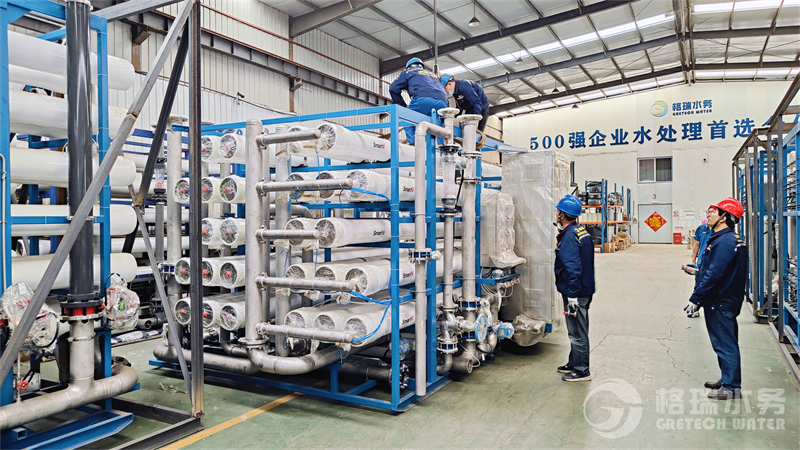 IMG20240511134625.jpg IMG20240511134625.jpg